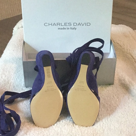 Charles David Blue Sandal - Picture 3 of 6